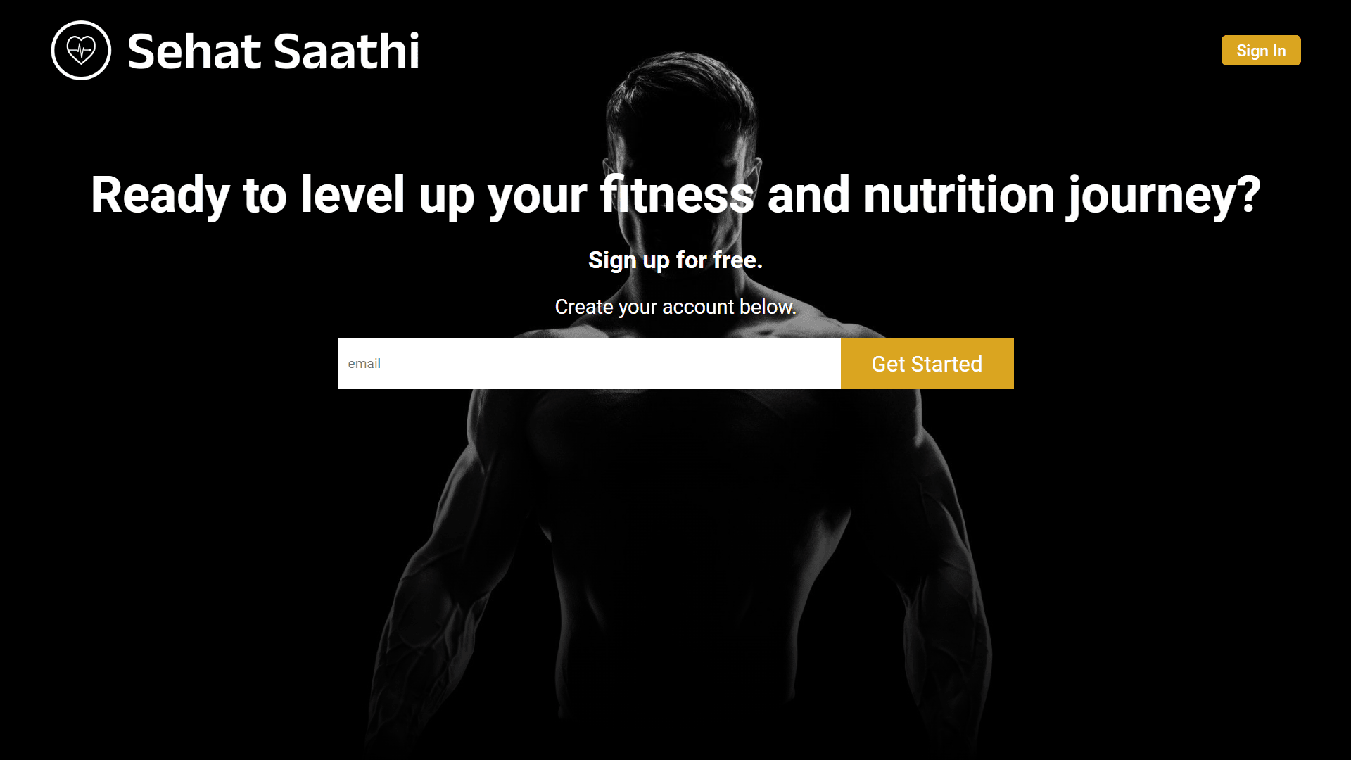 Sehat Saathi user interface